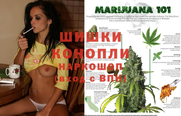 молекула духа Россошь